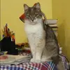 Отзыв от Ирина Козловская